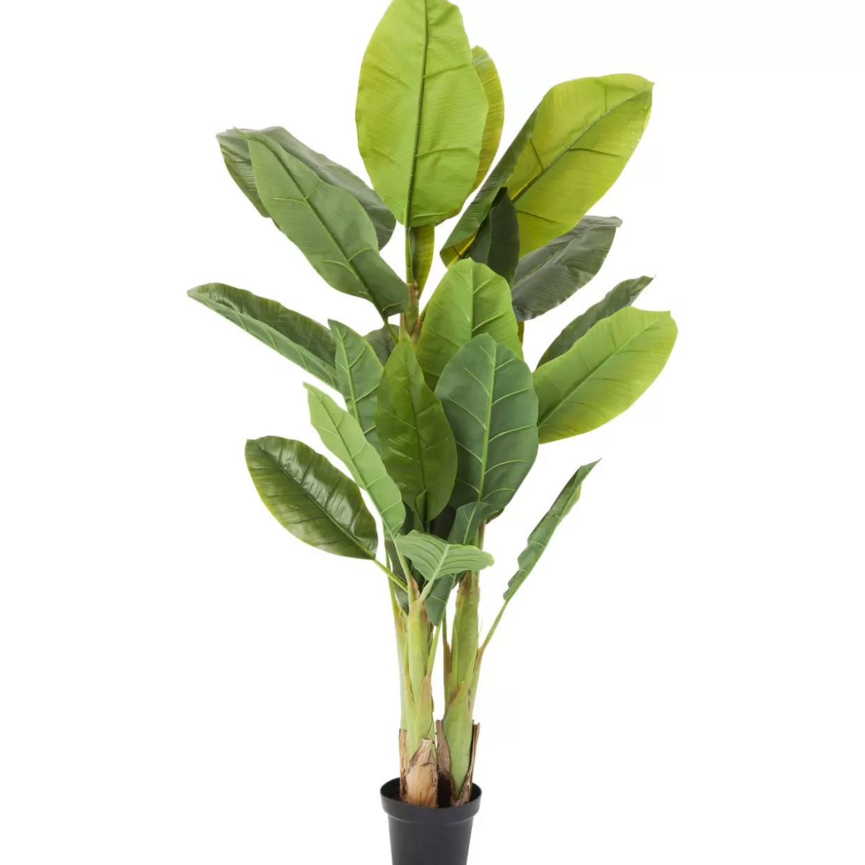 Pianta Decorativa Albero di Banano Stile Tropicale KARE Design - Vegetazione Artificiale per Interni con Foglie Lussureggianti, Altezza 180 cm, Ideale per Arredamento Moderno e Regali di Design