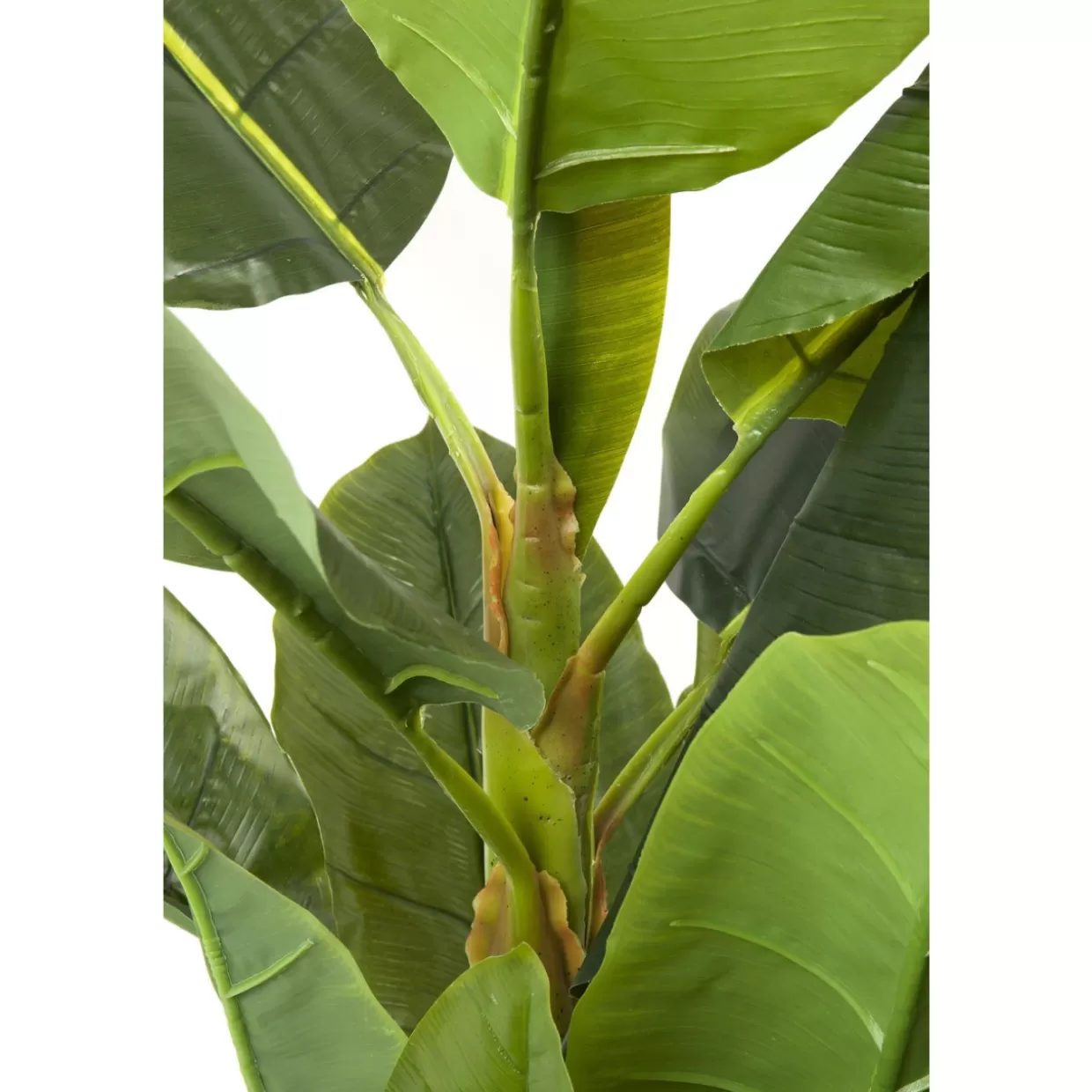 Pianta Decorativa Albero di Banano Stile Tropicale KARE Design - Vegetazione Artificiale per Interni con Foglie Lussureggianti, Altezza 180 cm, Ideale per Arredamento Moderno e Regali di Design