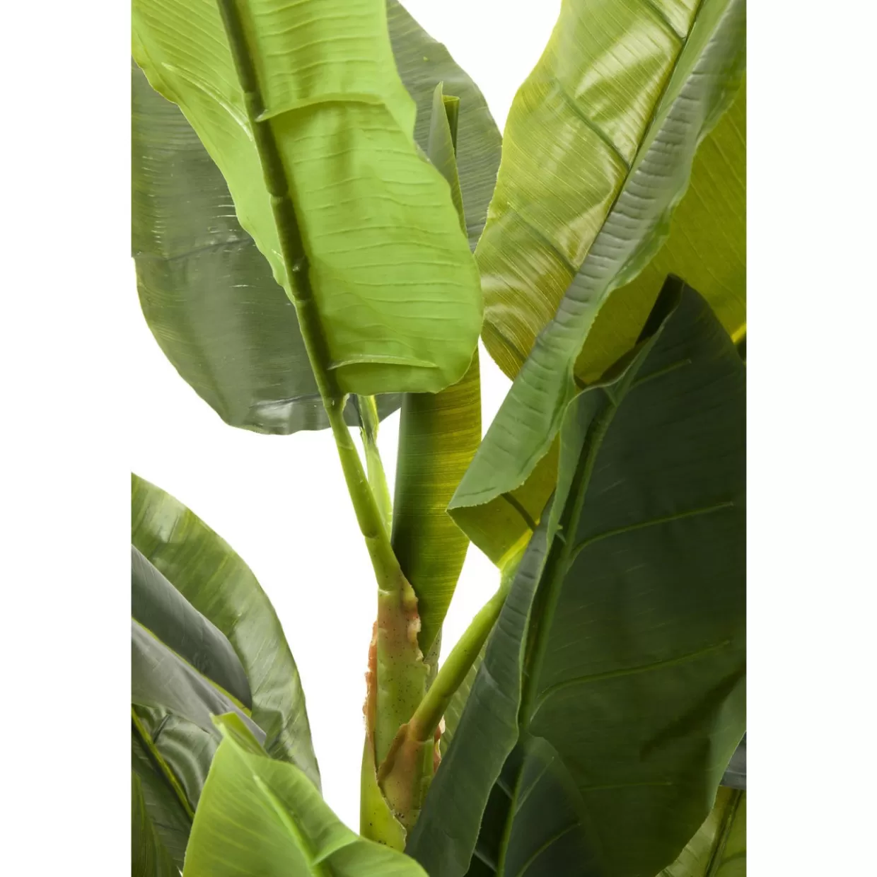 Pianta Decorativa Albero di Banano Stile Tropicale KARE Design - Vegetazione Artificiale per Interni con Foglie Lussureggianti, Altezza 180 cm, Ideale per Arredamento Moderno e Regali di Design