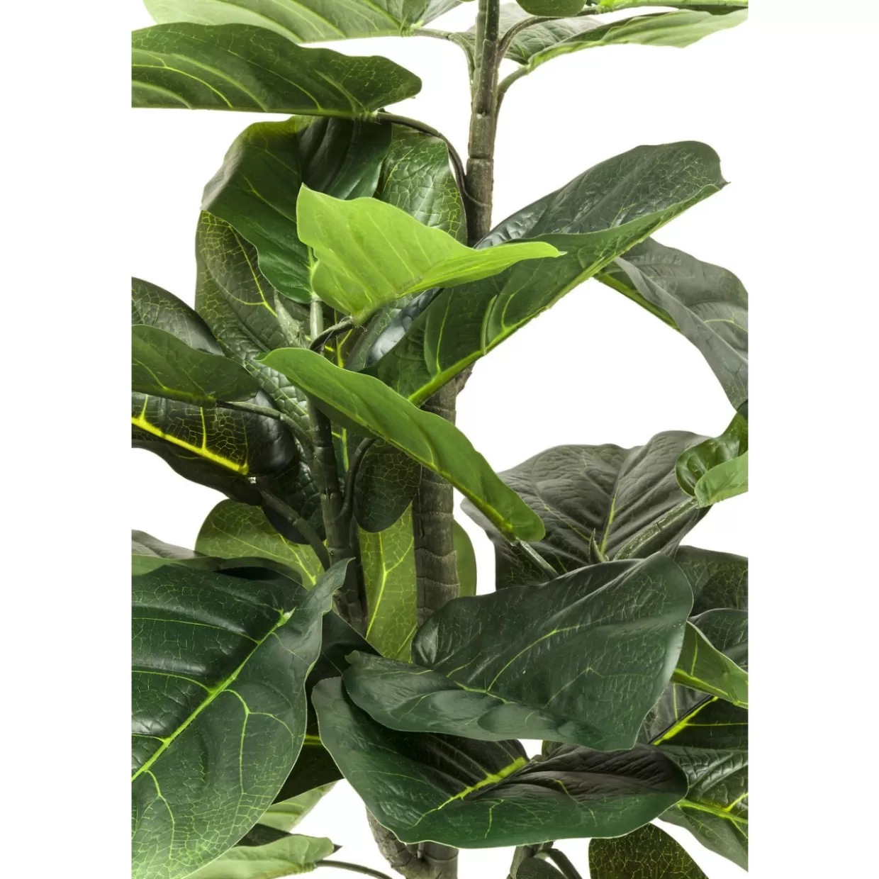 KARE Design Deko & Geschenkartikel | Deko Pflanze Fiddle Leaf 120Cm