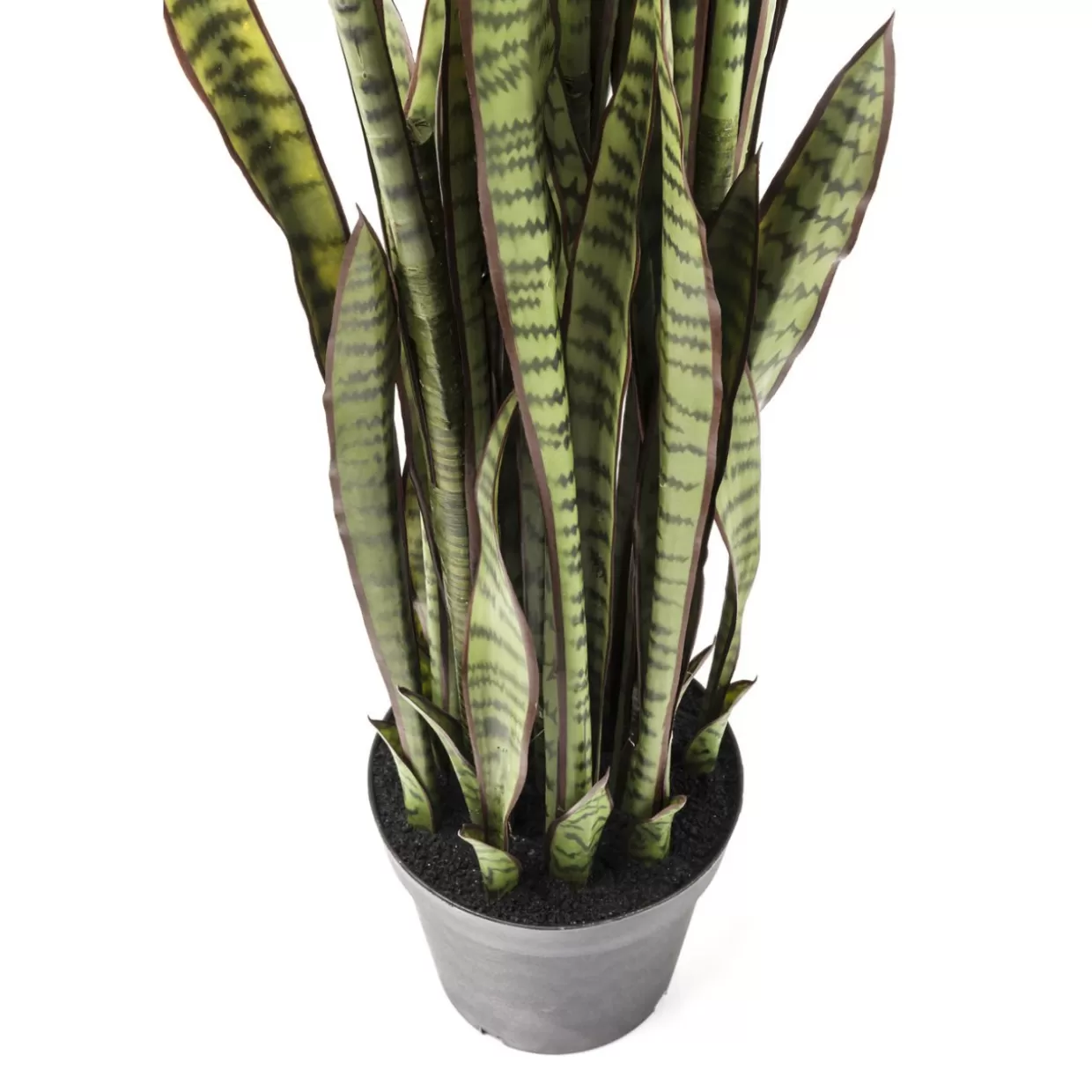KARE Design - Sansevieria Artificiale in Vaso, Pianta Decorativa per Interni con Foglie Rigogliose, Altezza 155 cm - Ideale per Arredamento Moderno