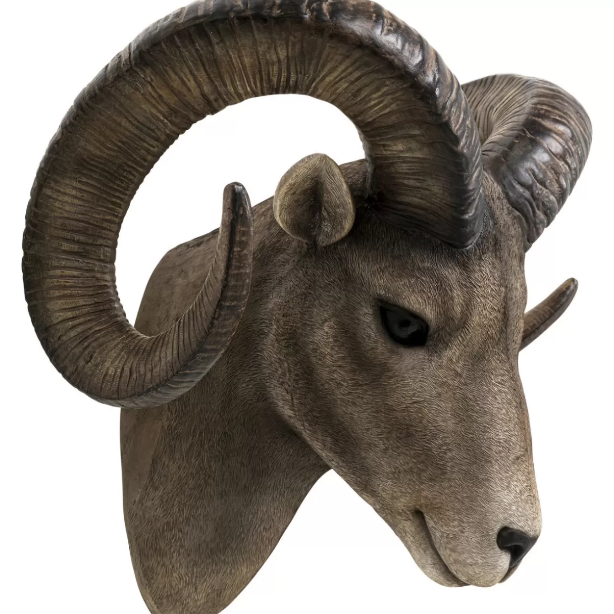 KARE Design Bilder | Wandobjekt Goat Head